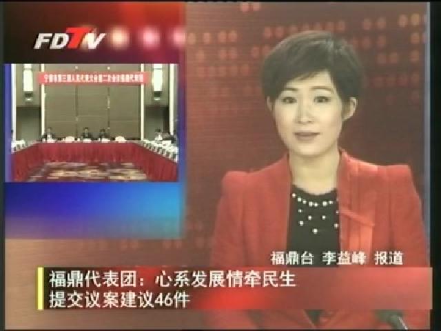 福鼎代表團：心系發(fā)展情牽民生提交議案建議46件