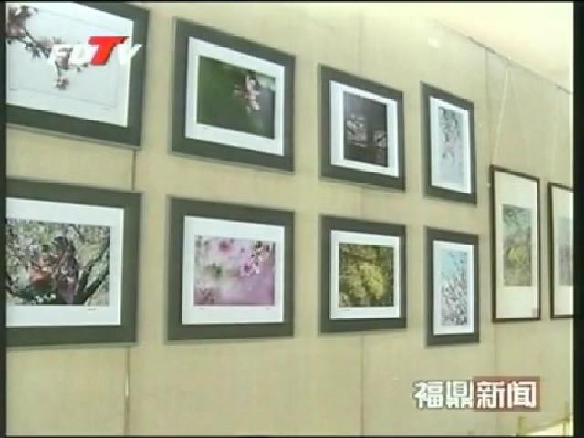 “在那桃花盛開的地方”詩書畫影展開幕