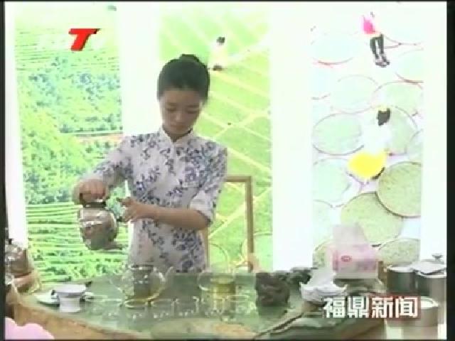 美麗中國 尋找福建最美茶鄉(xiāng)采風團蒞鼎采風