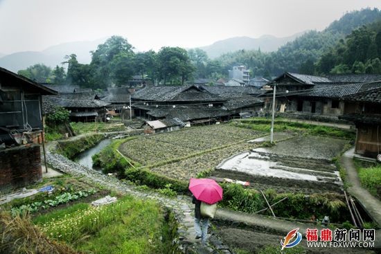 中國(guó)傳統(tǒng)村落、省級(jí)歷史文化名村仙蒲村 吳維泉攝.JPG