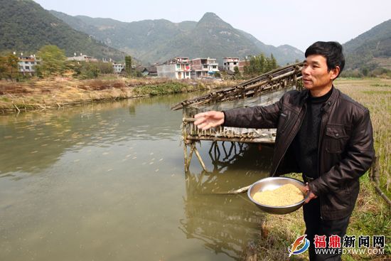 溪魚養(yǎng)殖成為赤溪村民吳伏淡脫貧致富的好路子.JPG