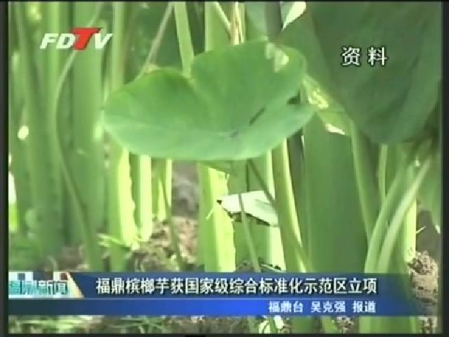 福鼎檳榔芋獲國家級綜合標準化示范區(qū)立項