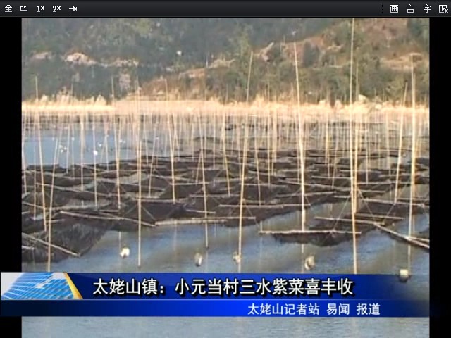 太姥山鎮(zhèn)：小元當(dāng)村三水紫菜喜豐收