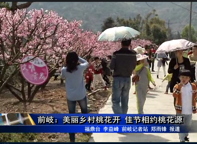 前岐：美麗鄉(xiāng)村桃花開 佳節(jié)相約桃花源