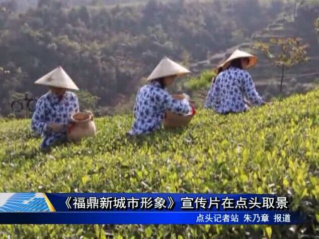 《福鼎新城市形象》宣傳片在點(diǎn)頭取景