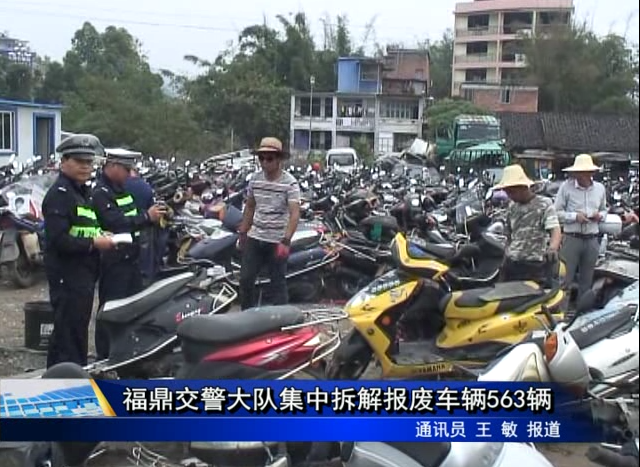 福鼎交警大隊(duì)集中拆解報(bào)廢車輛563輛