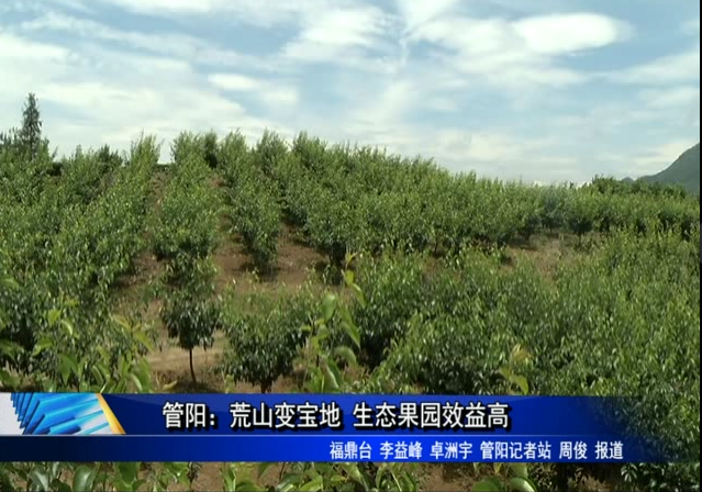 管陽：荒山變寶地 生態(tài)果園效益高