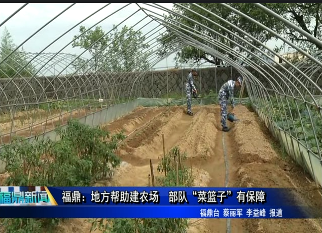 福鼎：地方幫助建農(nóng)場(chǎng) 部隊(duì)“菜籃子”有保障