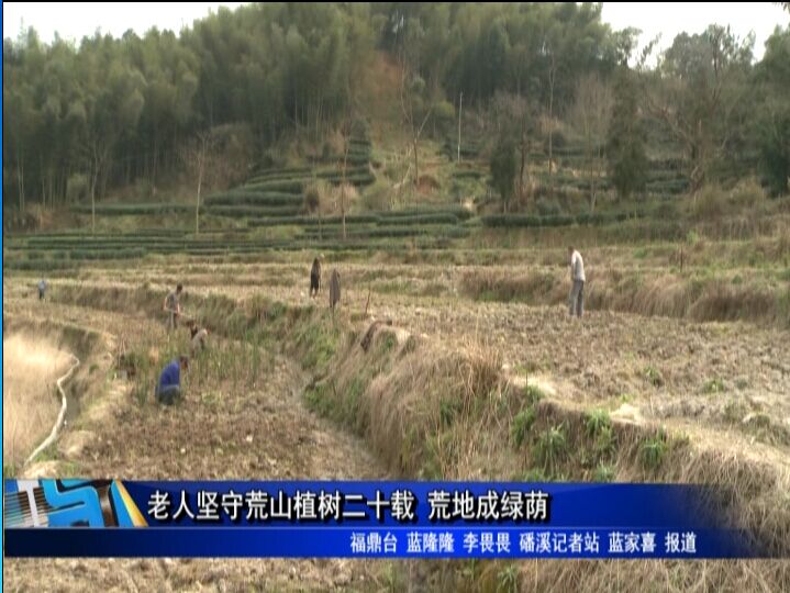 老人堅(jiān)守荒山植樹二十載 荒地成綠蔭