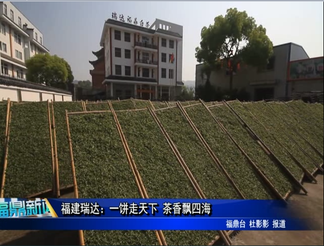 福建瑞達：一餅走天下 茶香飄四海