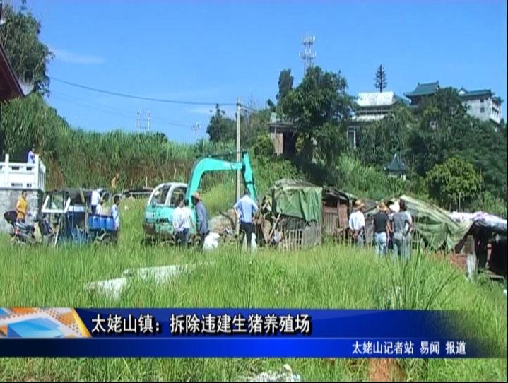 太姥山鎮(zhèn)：拆除違建生豬養(yǎng)殖場