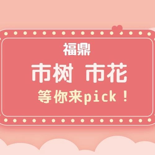 福鼎“市樹(shù)、市花”投票開(kāi)始啦！快來(lái)pick你心中的NO.1吧！