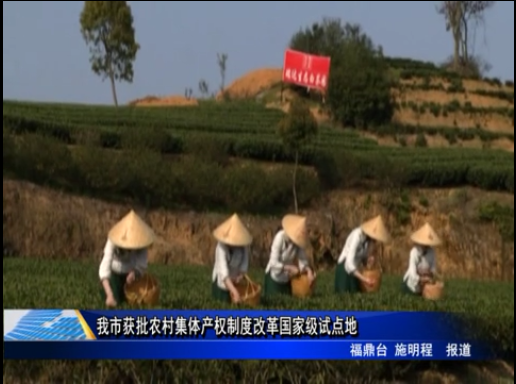 我市獲批農(nóng)村集體產(chǎn)權(quán)制度改革國家級試點地