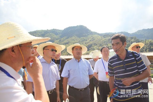 全國人大代表蒞鼎視察檢察機關(guān)工作情況