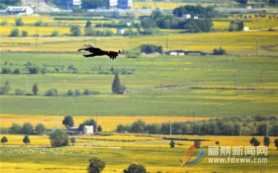 穿越稻田與山峰 來(lái)趟“曬”秋之旅