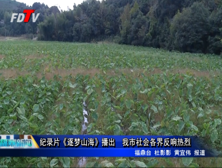 紀錄片《逐夢山海》播出  我市社會各界反響熱烈