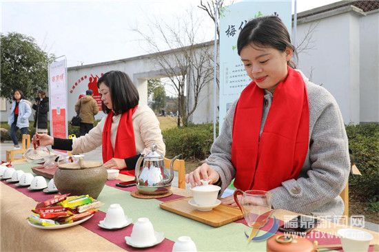 點(diǎn)頭鎮(zhèn)2019“白茶小鎮(zhèn)、魅力點(diǎn)頭” 攝影大賽啟動(dòng)