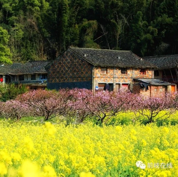 春暖花開，踏青出游？去照瀾吧！有驚喜……