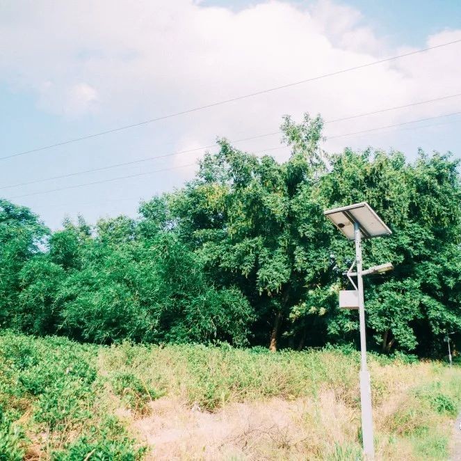 坪上之園，在水之北，推薦你一處離城不遠的小清新風景