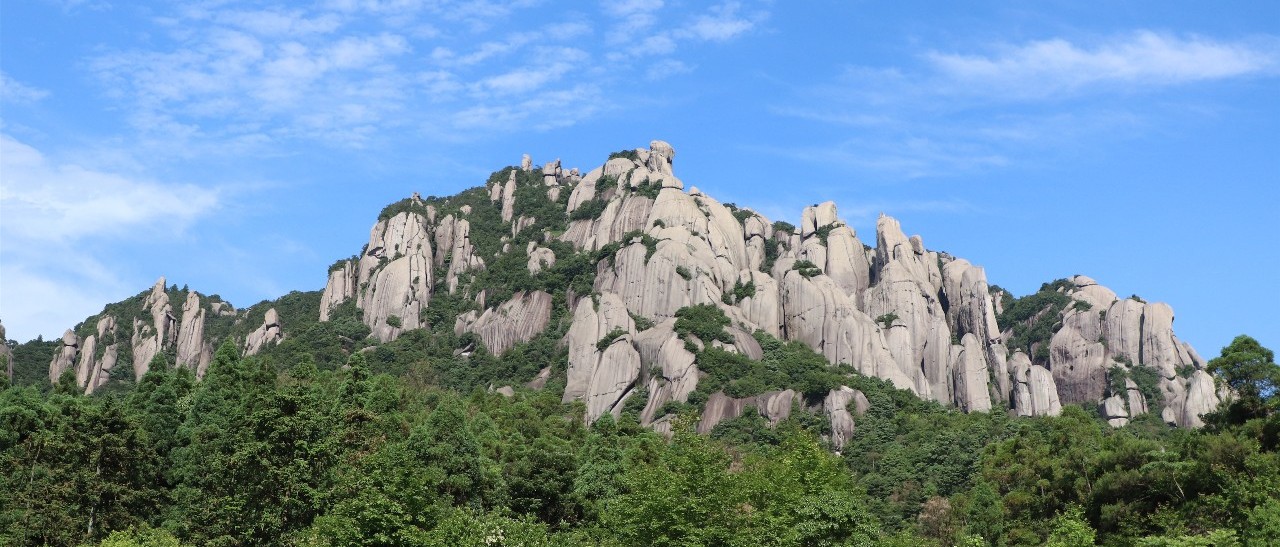 閩東之光·文韻太姥丨首日采風(fēng)結(jié)束，名山名茶與名家來(lái)了“歷史性會(huì)晤”