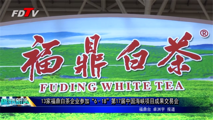 13家福鼎白茶企業(yè)參加“6· 18”第17屆中國(guó)海峽項(xiàng)目成果交易會(huì)