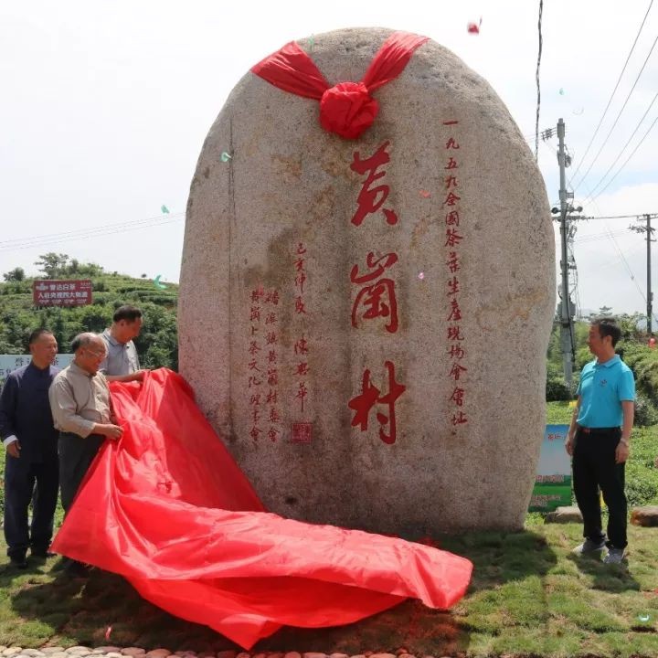 1959~2019，全國(guó)茶葉生產(chǎn)現(xiàn)場(chǎng)會(huì)在福鼎召開(kāi)60周年了！