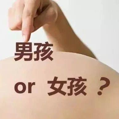 B超鑒定胎兒性別？福鼎準(zhǔn)媽媽打了個(gè)電話過去，結(jié)果……