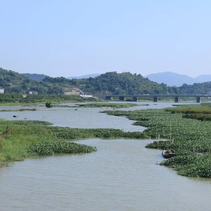 雙岳溪防洪堤預(yù)計(jì)年底竣工，它可以……