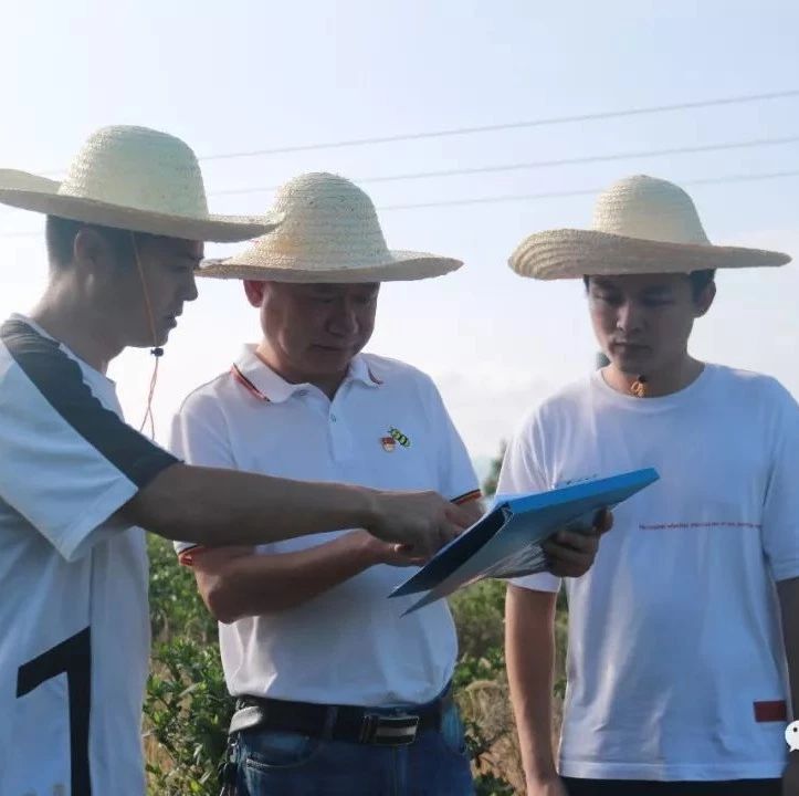 硤門：保持高壓態(tài)勢，建立長效機制，保護青山綠水