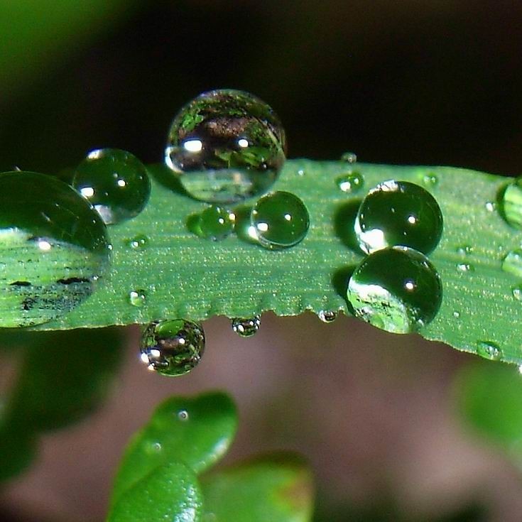 剛剛發(fā)布！未來三天！繼續(xù)人工增雨！