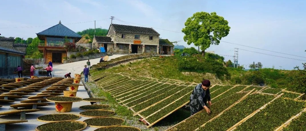 是心動啊~這把生態(tài)之匙，打開了鄉(xiāng)村振興的心房