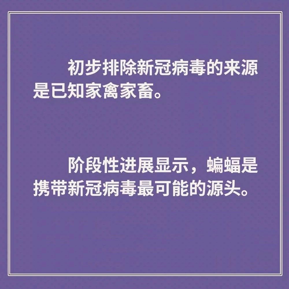 雞鴨會(huì)傳播病毒？疫苗研究得怎樣？抗疫最新信息，你要知道