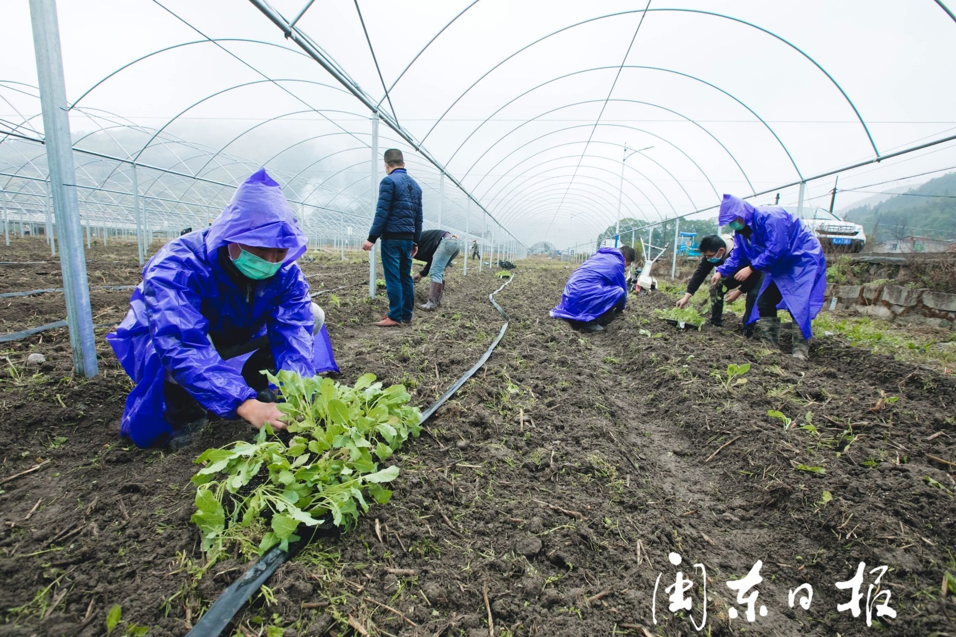 防疫不松懈 春耕不誤時——我市春耕生產(chǎn)一線見聞