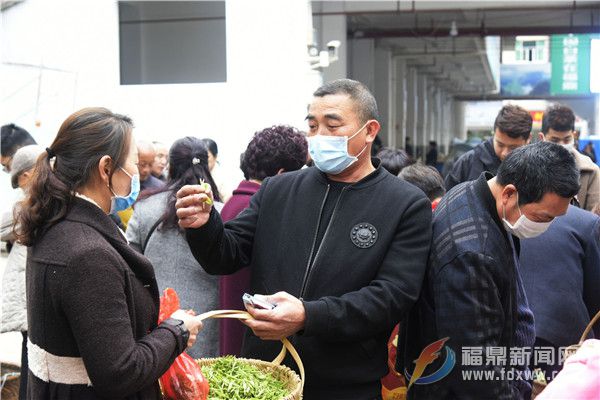 閩浙邊界地區(qū)最大的白茶交易市場開市