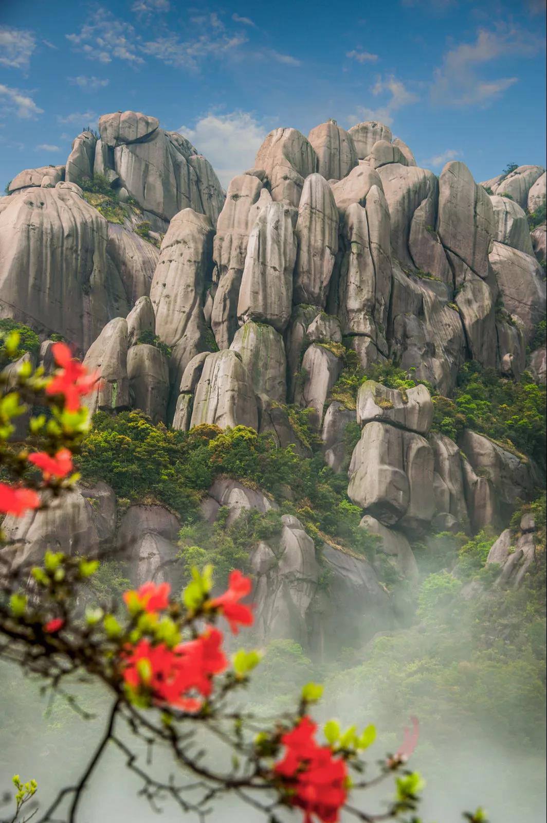 太姥山、崳山、赤溪景區(qū)3月21日起恢復開園，全國游客享受門票半價！