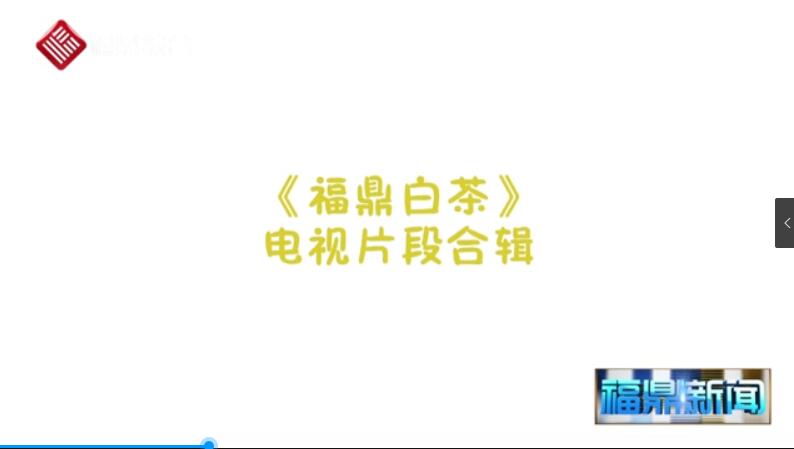 【短視頻】《福鼎白茶這么好！他們都這么說…》