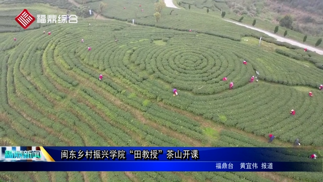 閩東鄉(xiāng)村振興學(xué)院“田教授”茶山開課