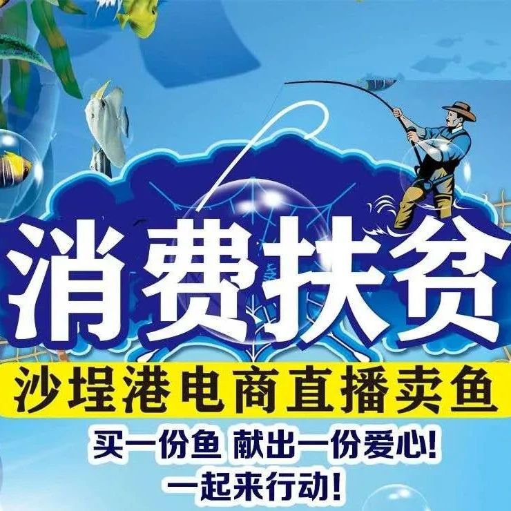 “魚(yú)”你相約明天下午3點(diǎn)！沙埕港電商直播賣魚(yú)啦