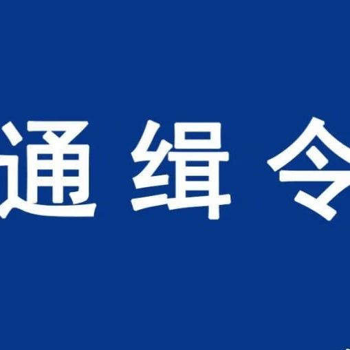 A級通緝令！看到這8人，馬上報警！