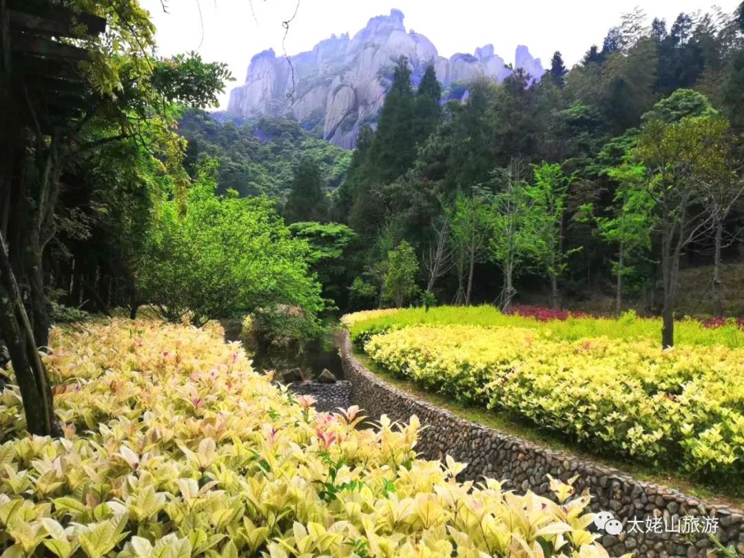 追逐畫中生靈，觀太姥山之美