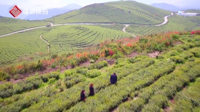 佳陽(yáng)紅色畬鄉(xiāng)旅游帶