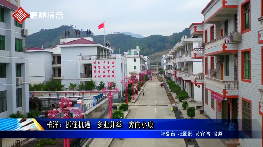 柏洋：抓住機(jī)遇  多業(yè)并舉  奔向小康