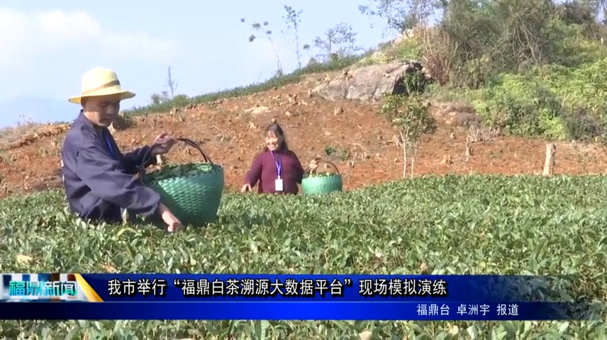 我市舉行“福鼎白茶溯源大數(shù)據(jù)平臺”現(xiàn)場模擬演練