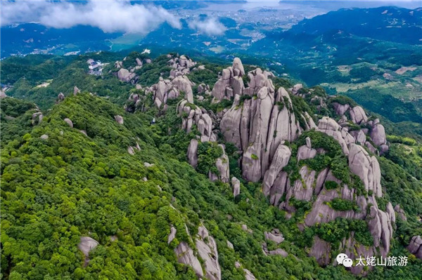 央視“尋根太姥山”，探秘福鼎白茶之源（附視頻）