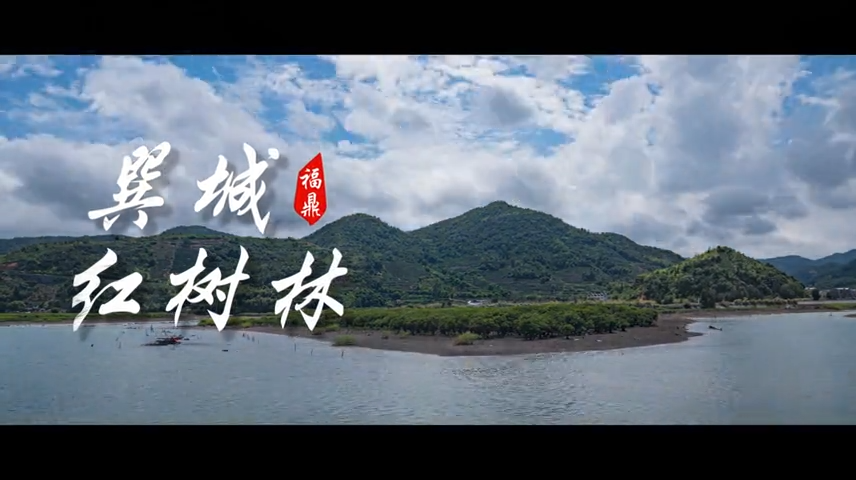 【短視頻】--- -巽城紅樹(shù)林