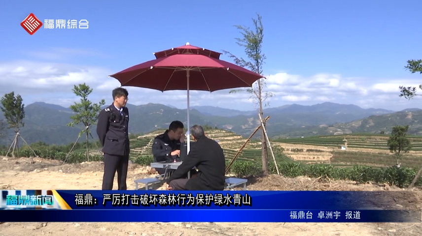 福鼎：嚴厲打擊破壞森林行為保護綠水青山