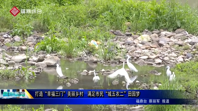 打造“幸福三門”美麗鄉(xiāng)村  滿足市民“城五農(nóng)二”田園夢