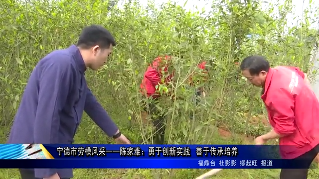 寧德市勞模風(fēng)采——陳家雅：勇于創(chuàng)新實(shí)踐 善于傳承培養(yǎng)