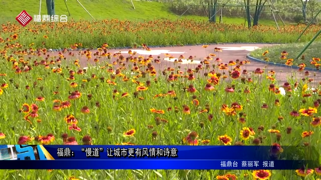 福鼎：“慢道”讓城市更有風(fēng)情和詩(shī)意