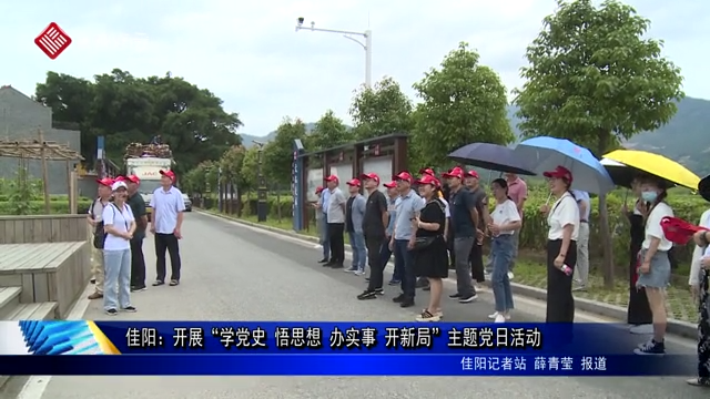 佳陽：開展“學黨史 悟思想 辦實事 開新局”主題黨日活動